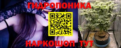 ешки Будённовск