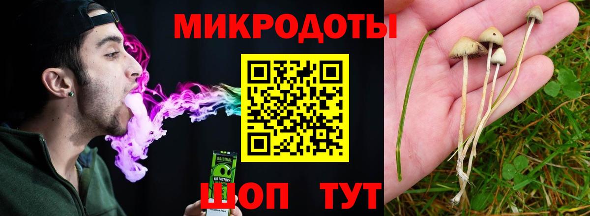 Галлюциногенные грибы мухоморы Пыть-Ях